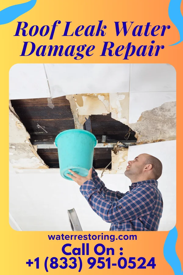 Roof Leak Water Damage Repair in Jamestown, OH