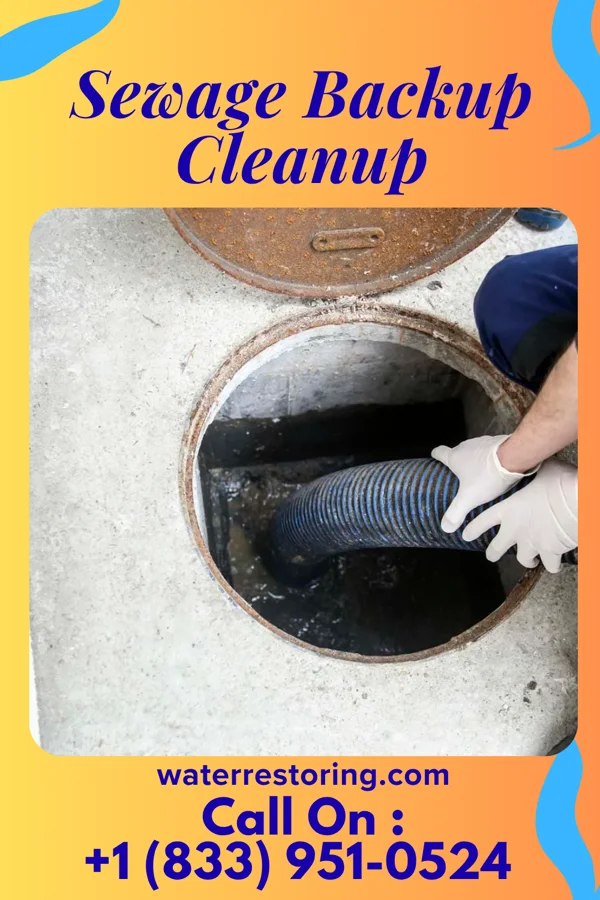 Sewage Backup Cleanup in Jamestown, OH