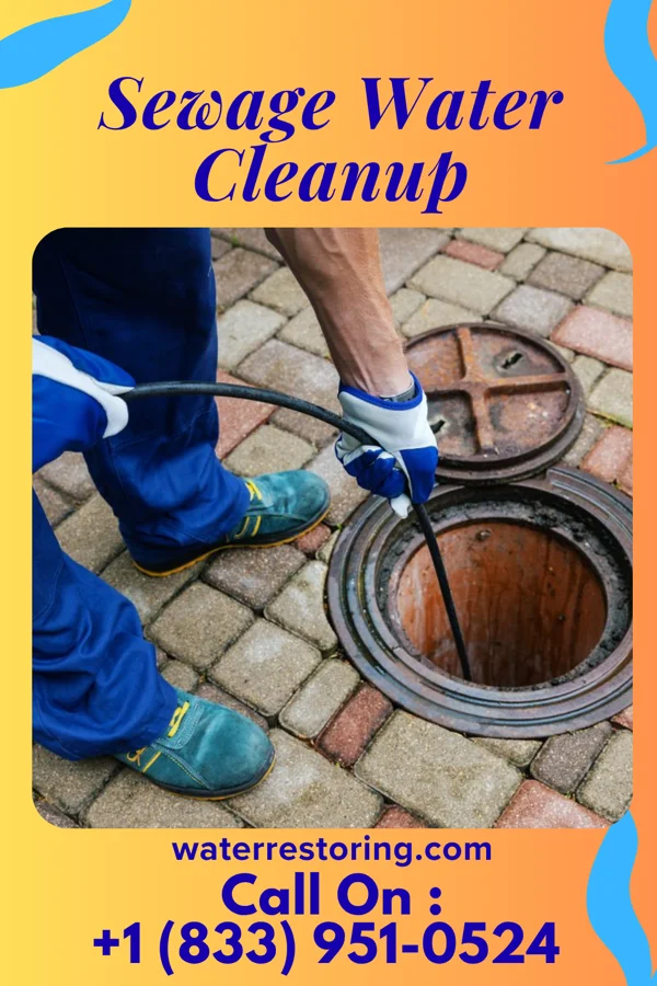 Sewage Water Cleanup in Jamestown, OH