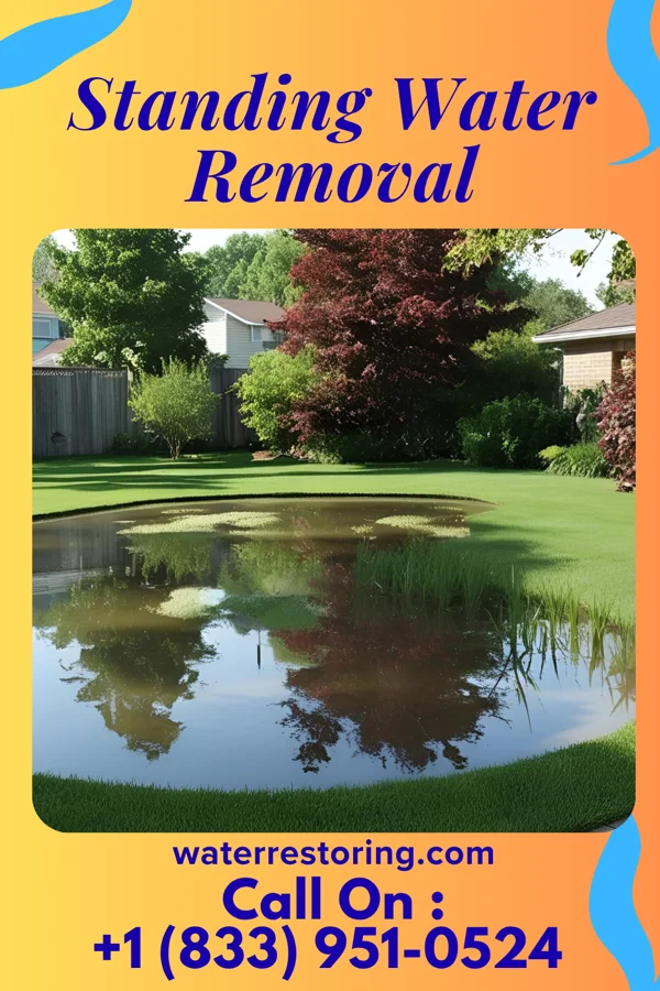 Standing Water Removal in Jamestown, OH